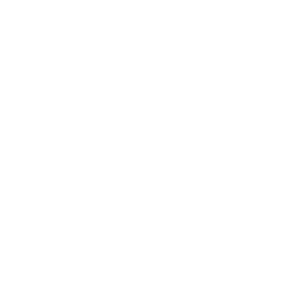 BMW - Logo